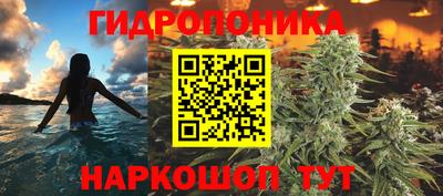 дмт Ачхой-Мартан