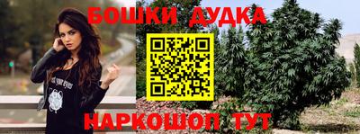 дмт Ачхой-Мартан