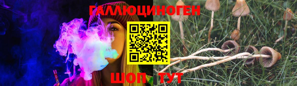 Псилоцибиновые грибы Psilocybe  Вход с VPN  Вышний Волочёк 